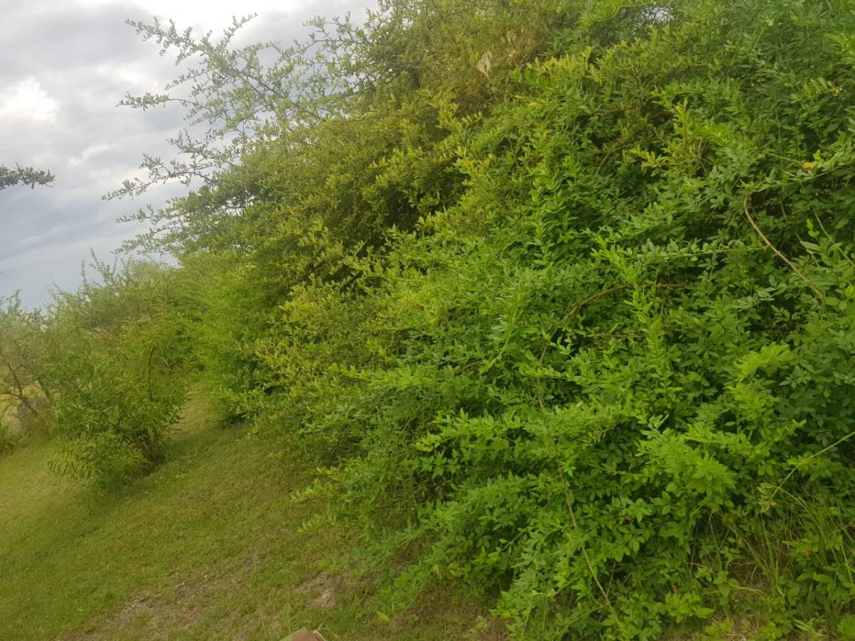 RETASADOO! OPORTUNIDAD VENDO O PERMUTO CASA MAS CABAÑA CON PILETA EN POTRERO DE GARAY
