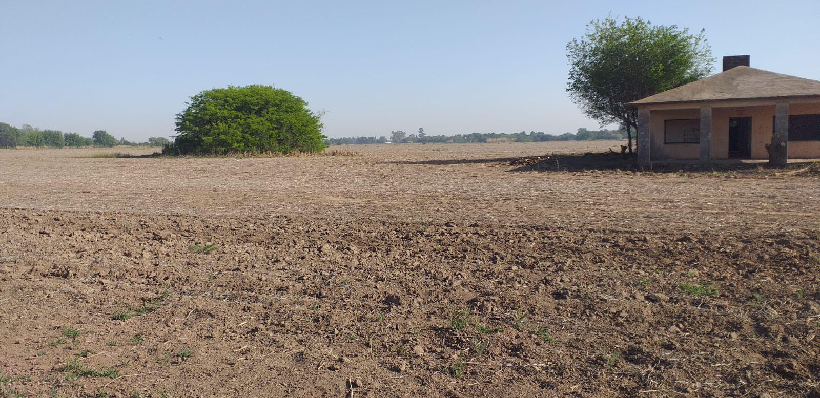 CAMPO EN VENTA. CAMINO 60 CUADRAS