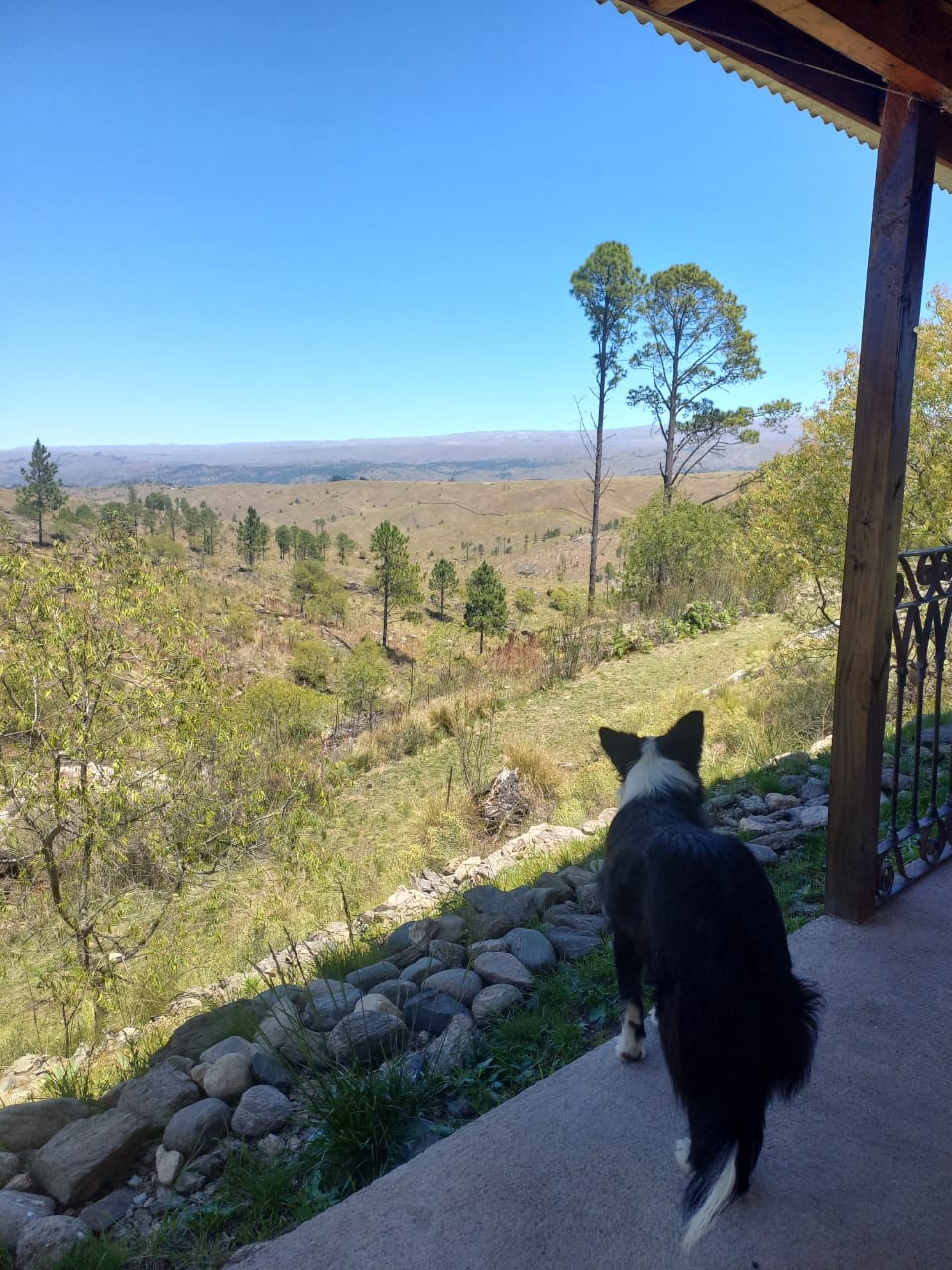 Complejo de 6 Cabañas Villa Yacanto de Calamuchita