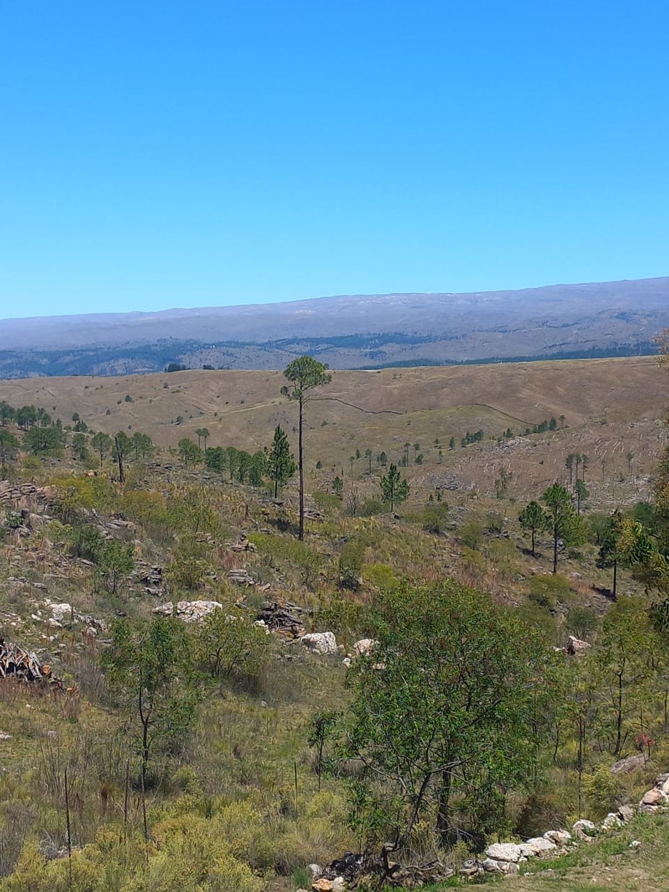 Complejo de 6 Cabañas Villa Yacanto de Calamuchita