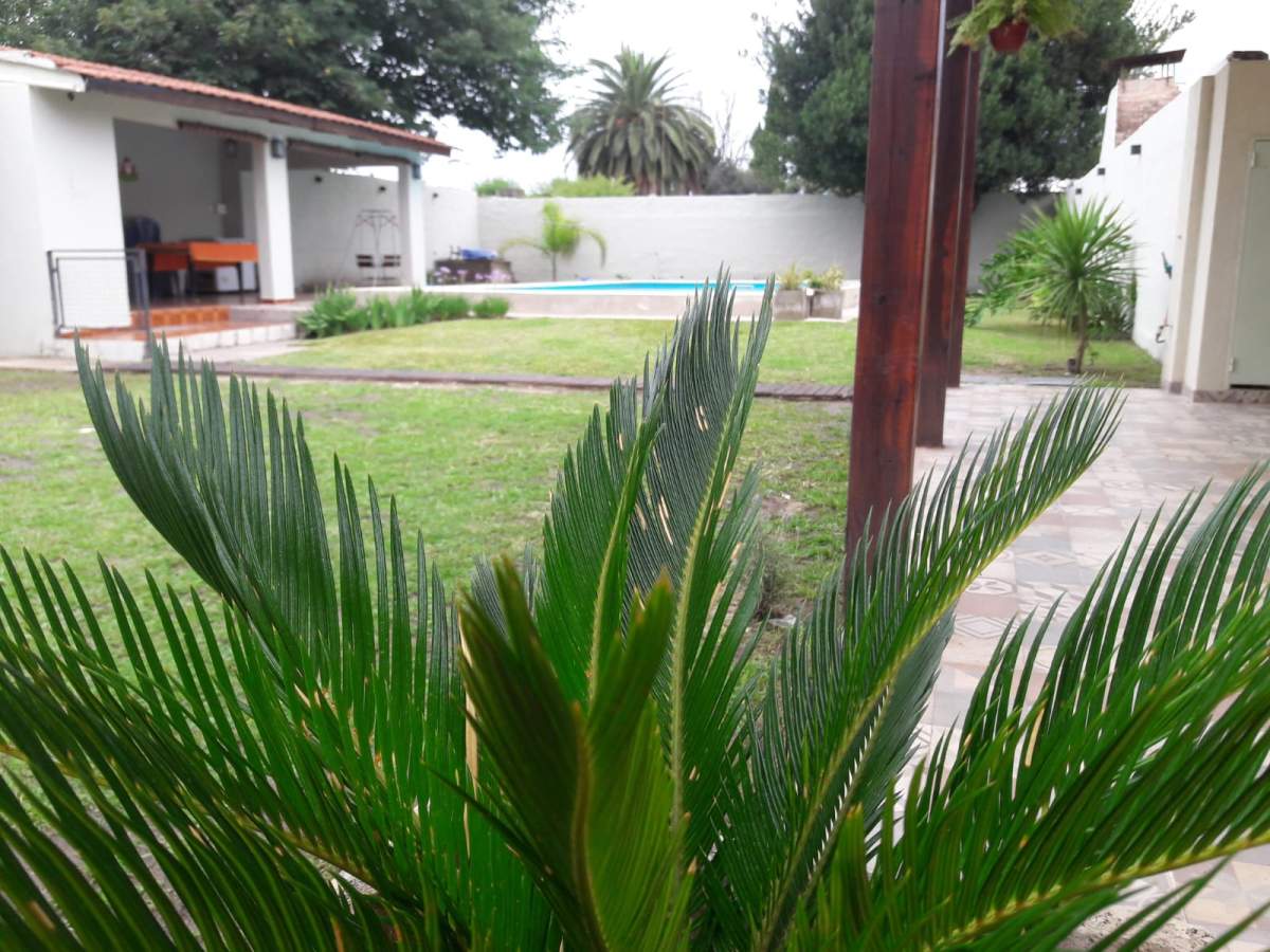 MARQUEZ DE SOBREMONTE MODERNA UNA SOLA PLANTA TRES DORM T. 660 MTRS - APPTO BANCOR