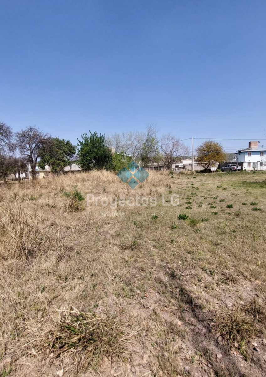 VENTA- COLONIA CAROYA- CALLE 40- 2 LOTES 548-609M2