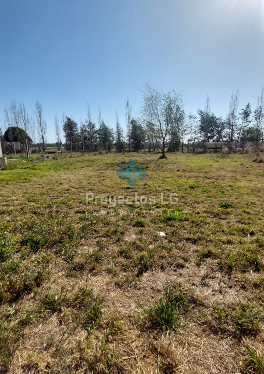 VENTA- COLONIA CAROYA- CALLE 40- 2 LOTES 548-609M2