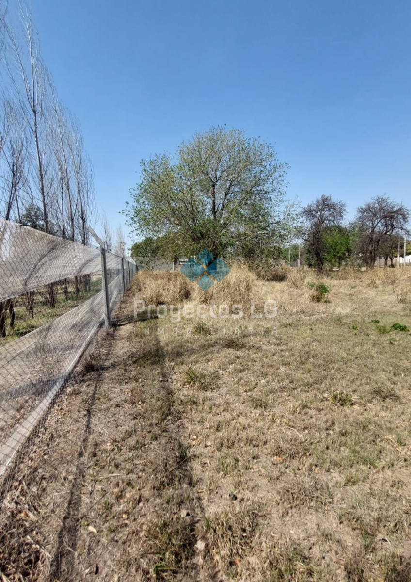 VENTA- COLONIA CAROYA- CALLE 40- 2 LOTES 548-609M2