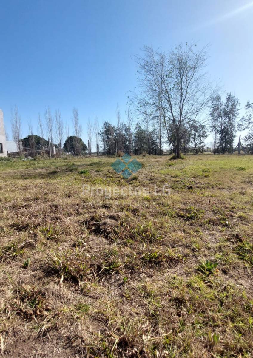 VENTA- COLONIA CAROYA- CALLE 40- 2 LOTES 548-609M2