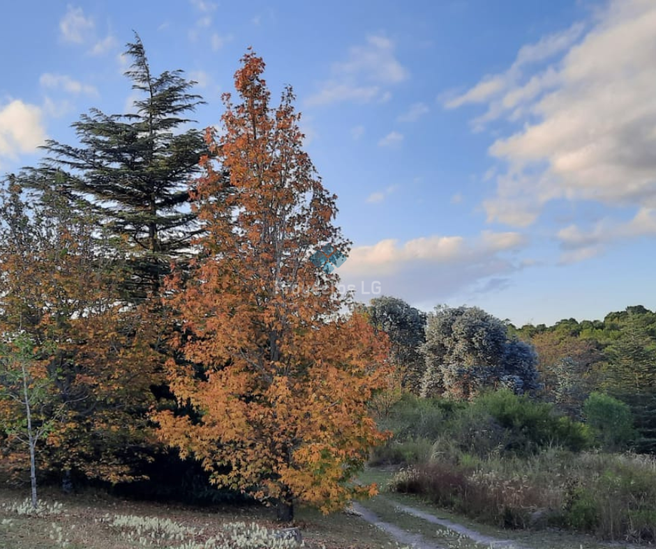 VENTA-VERTIENTES DE LA GRANJA-IMPORTANTE PROPIEDAD 3.4 HAS CABAÑA.