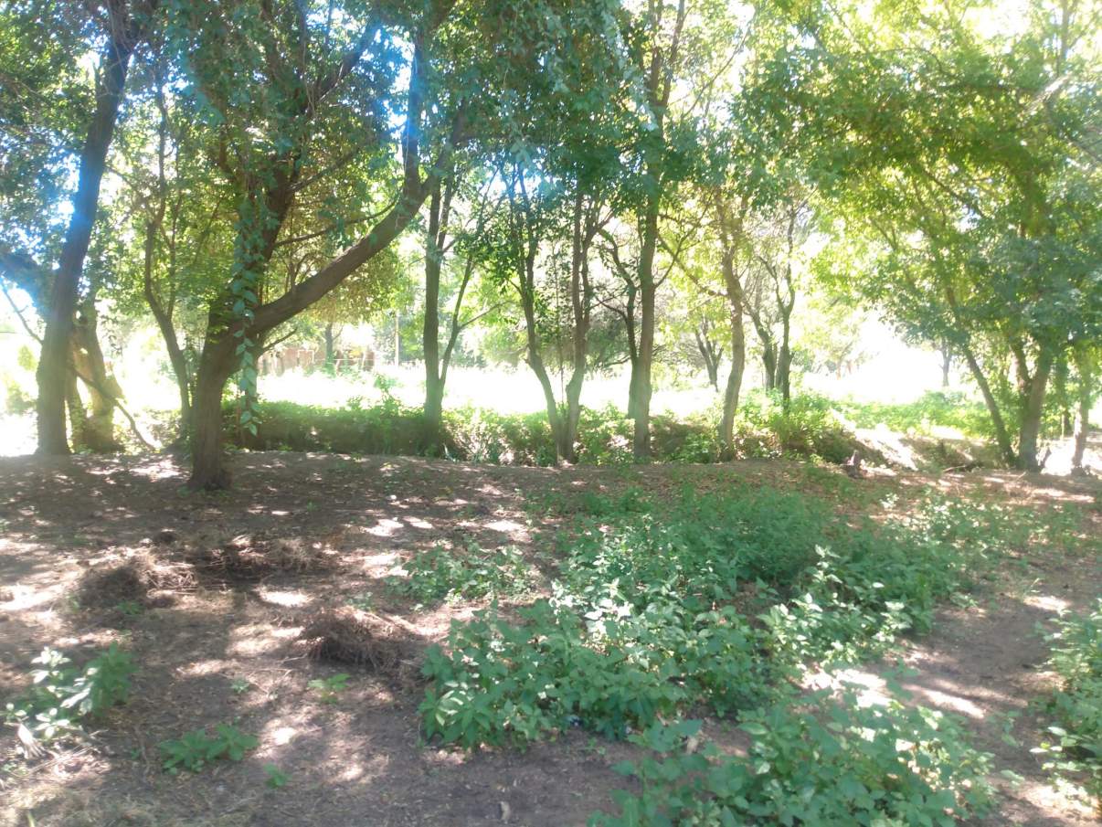 VENTA LOTE 2500 mts2 en Villa de Soto