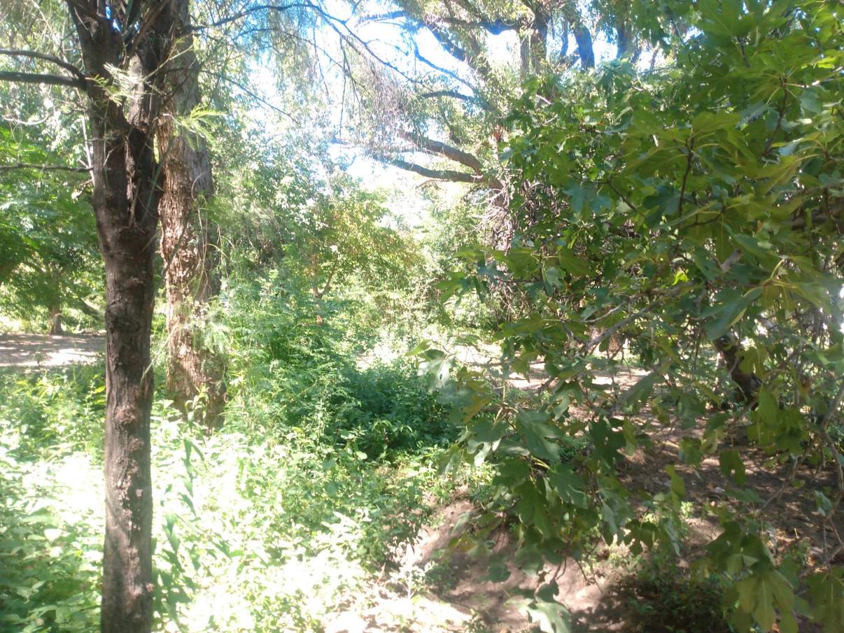 VENTA LOTE 2500 mts2 en Villa de Soto