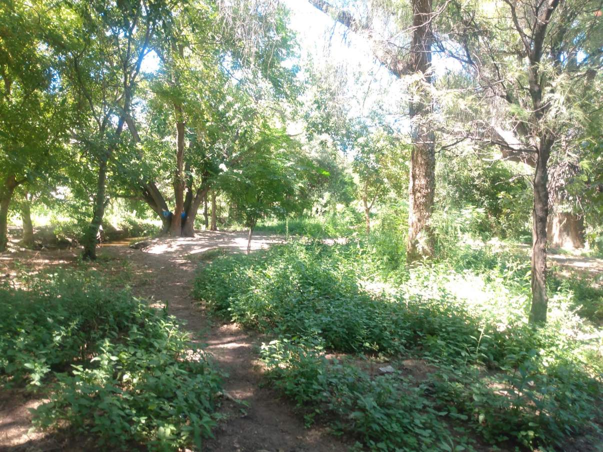 VENTA LOTE 2500 mts2 en Villa de Soto