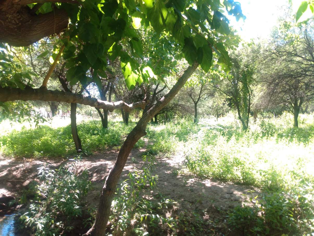 VENTA LOTE 2500 mts2 en Villa de Soto