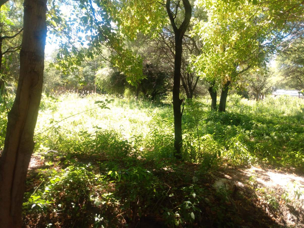 VENTA LOTE 2500 mts2 en Villa de Soto