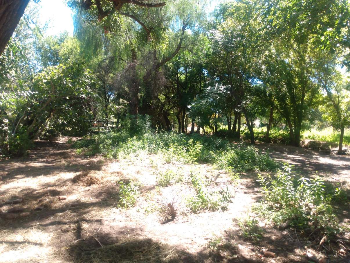 VENTA LOTE 2500 mts2 en Villa de Soto