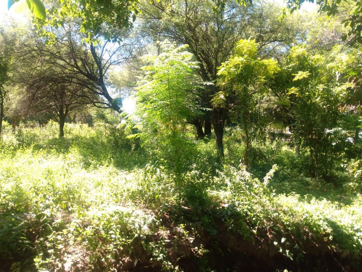 VENTA LOTE 2500 mts2 en Villa de Soto