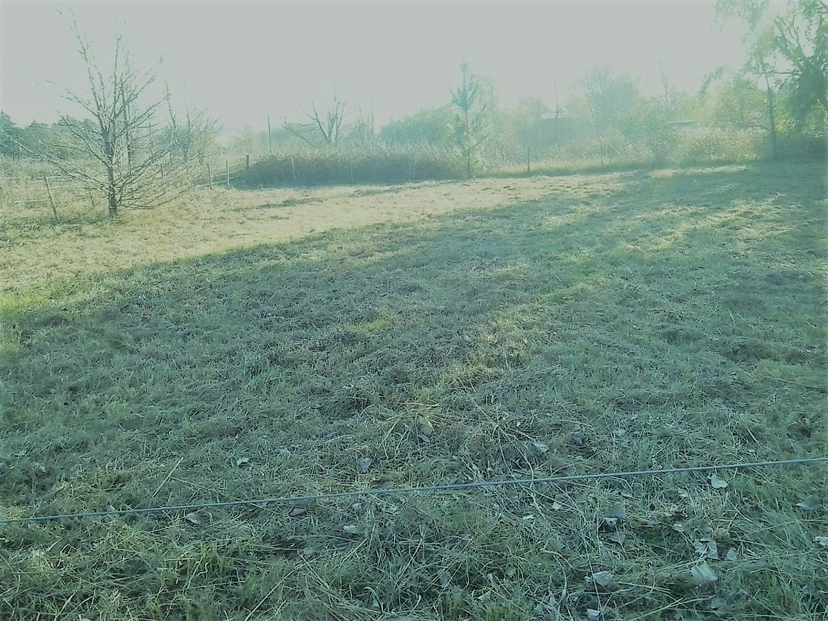 VENTA LOTE en Lago Los Molinos SOLAR DE LOS MOLINOS