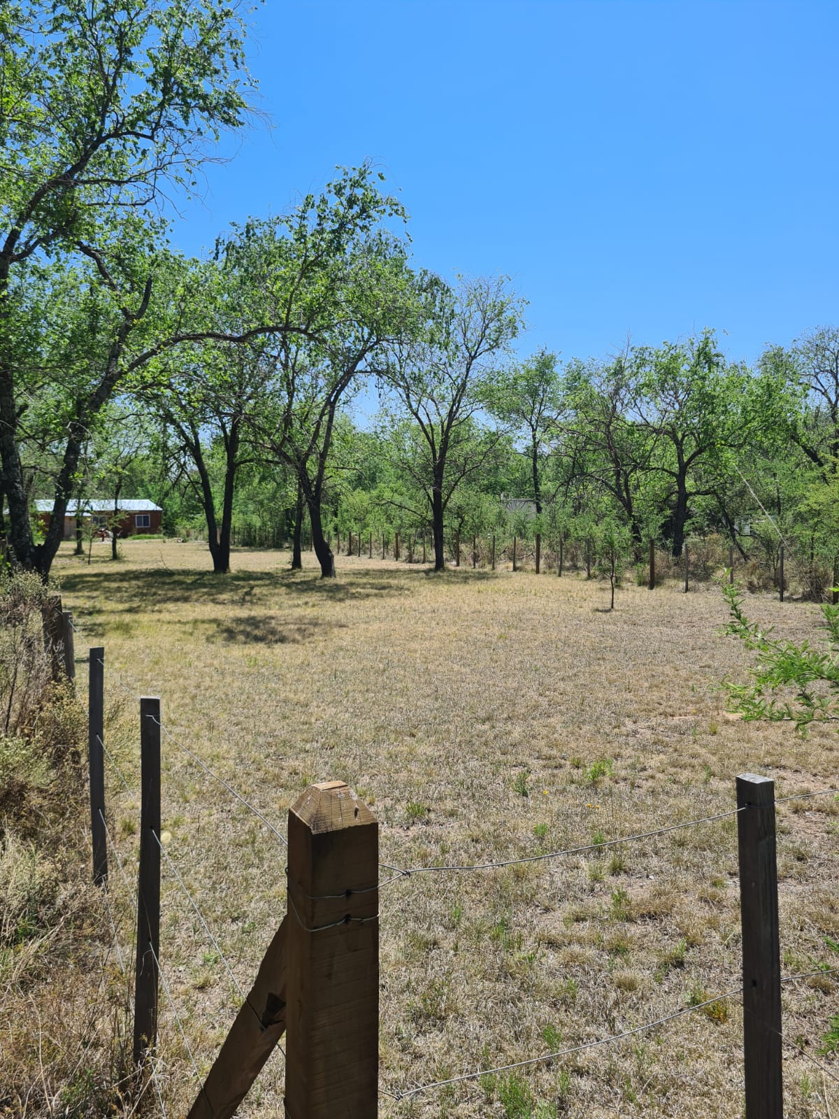 SAN JAVIER DEL LAGO