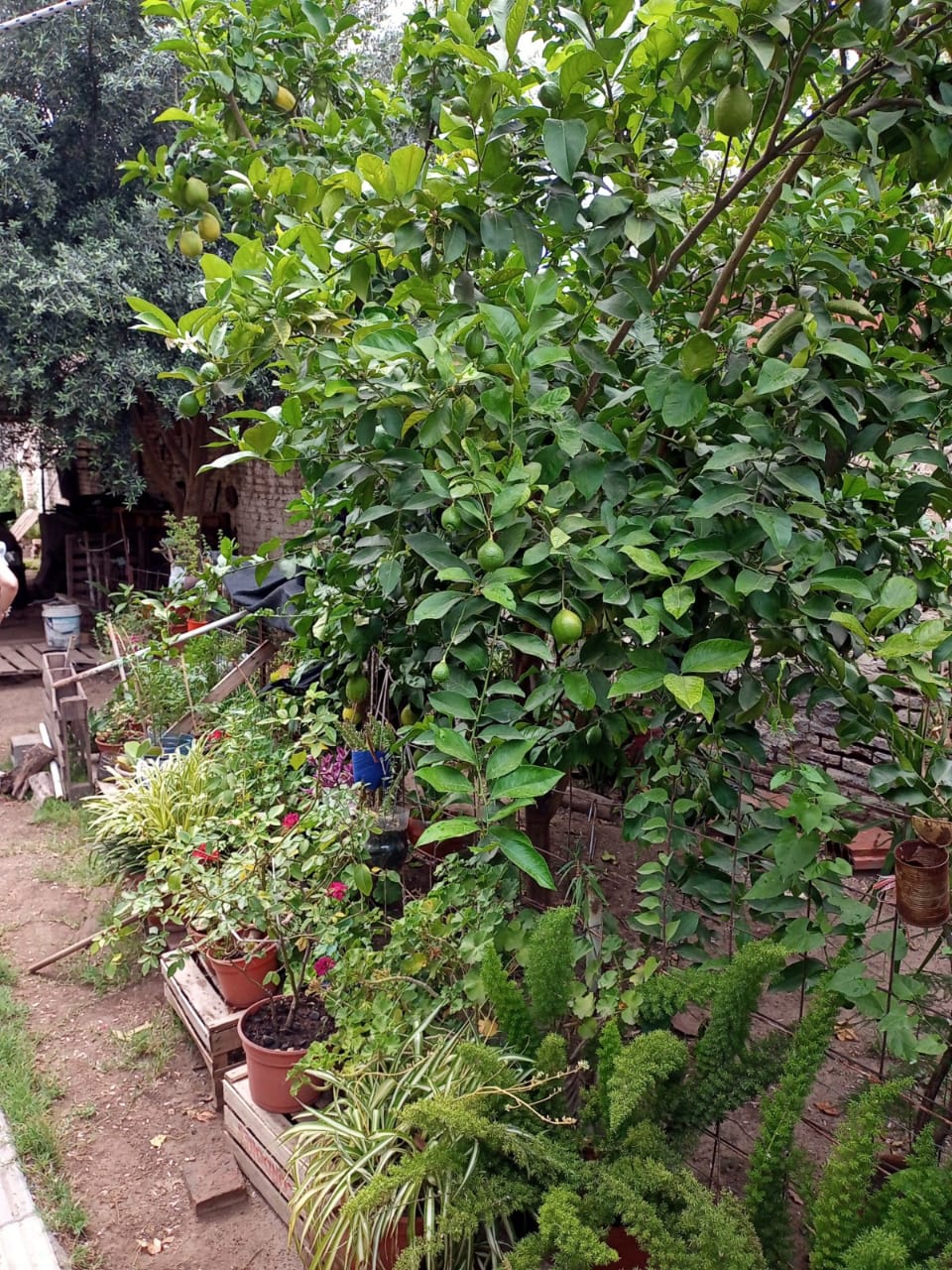 Casa dos dormitorios amplia escritura oportunidad