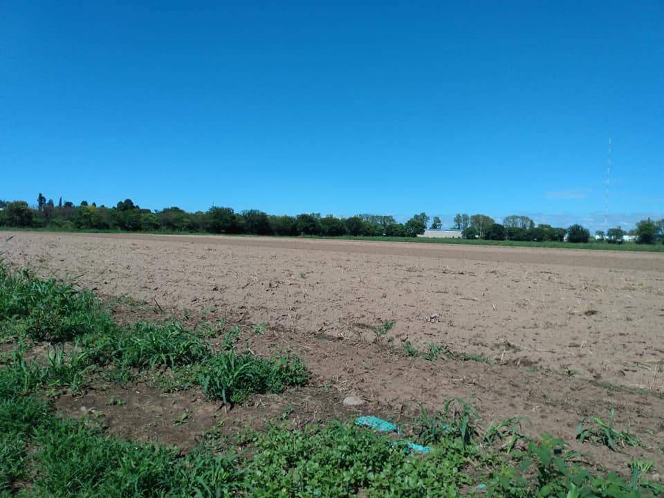 VENTA LOTES aptos Galpones en Villa Esquiu