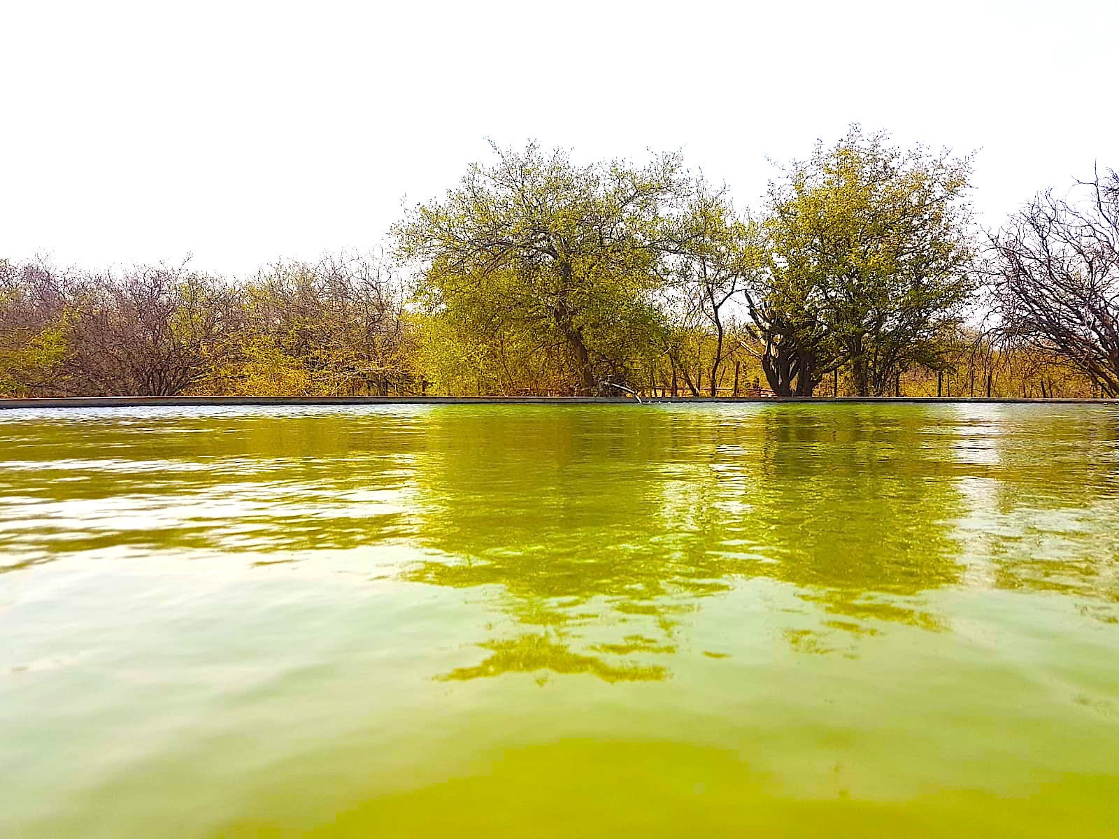 Campo 222 Hectáreas en Villa de María del Río Seco Siembra Directa Venta