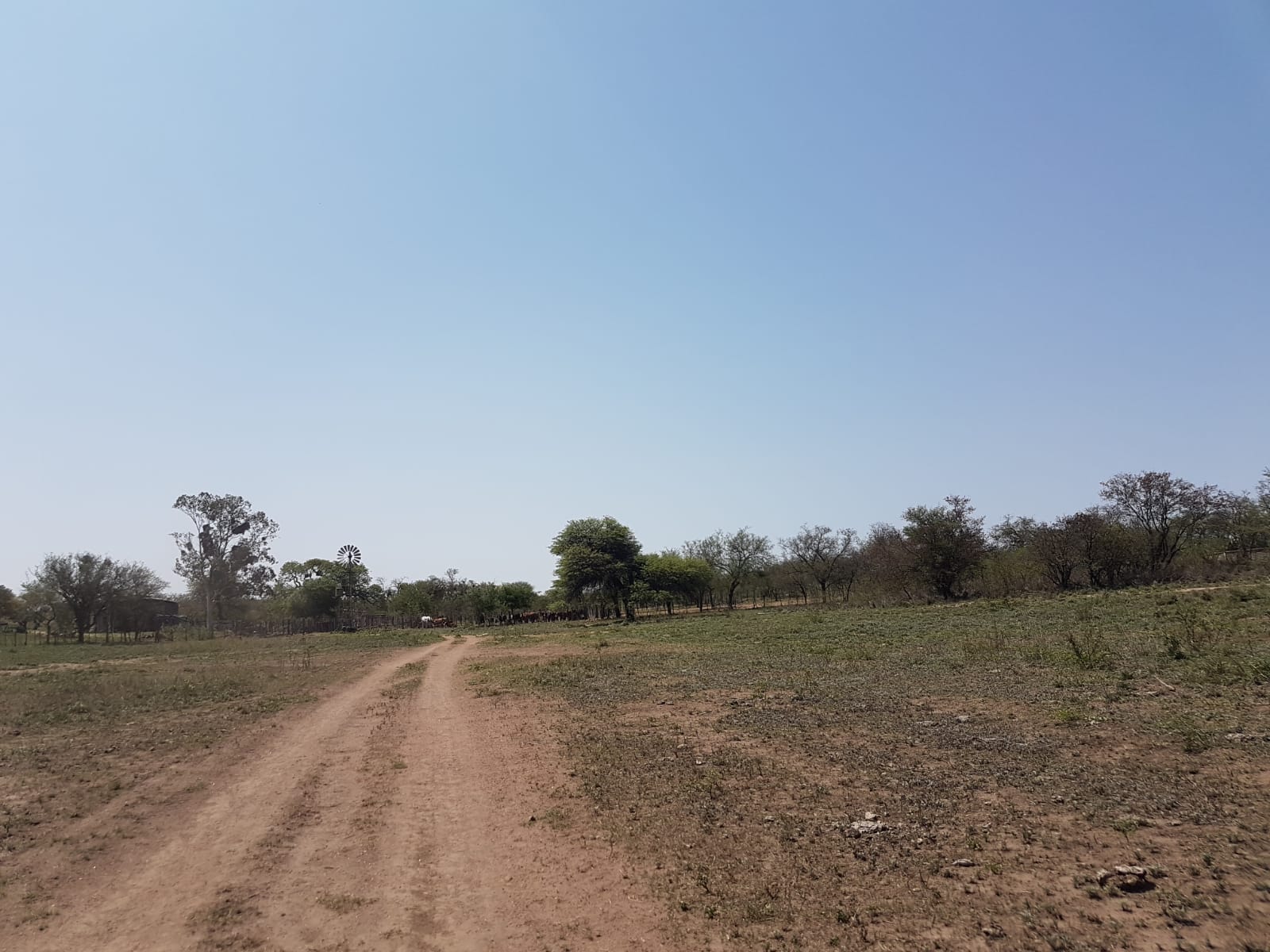 Campo 222 Hectáreas en Villa de María del Río Seco Siembra Directa Venta