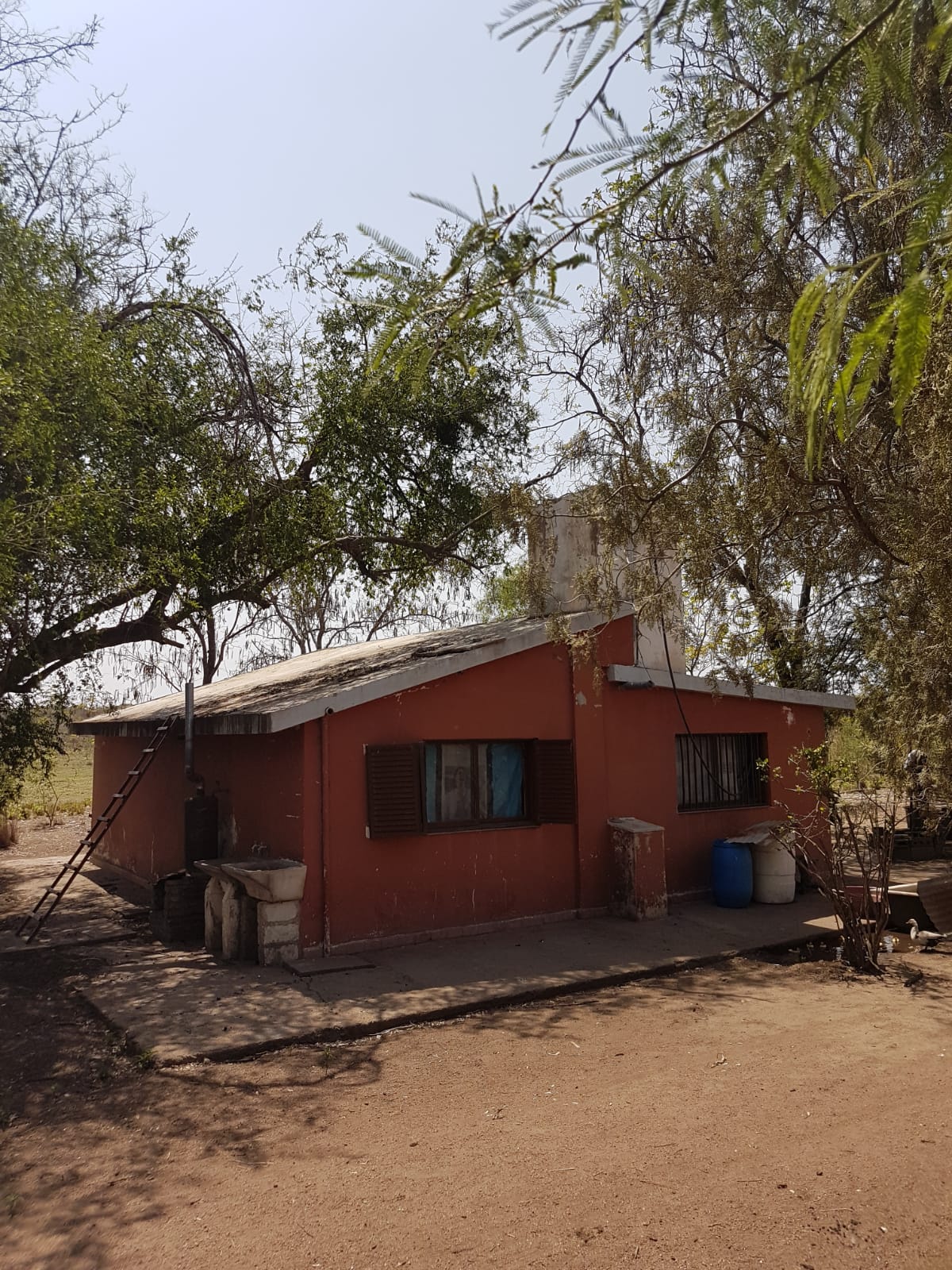 Campo 222 Hectáreas en Villa de María del Río Seco Siembra Directa Venta