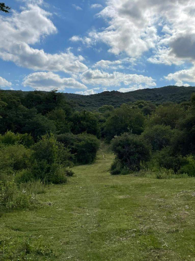 VENTA CAMPO AGUA DE ORO CORDOBA IDEAL EMPRENDIMIENTO TURISTICO