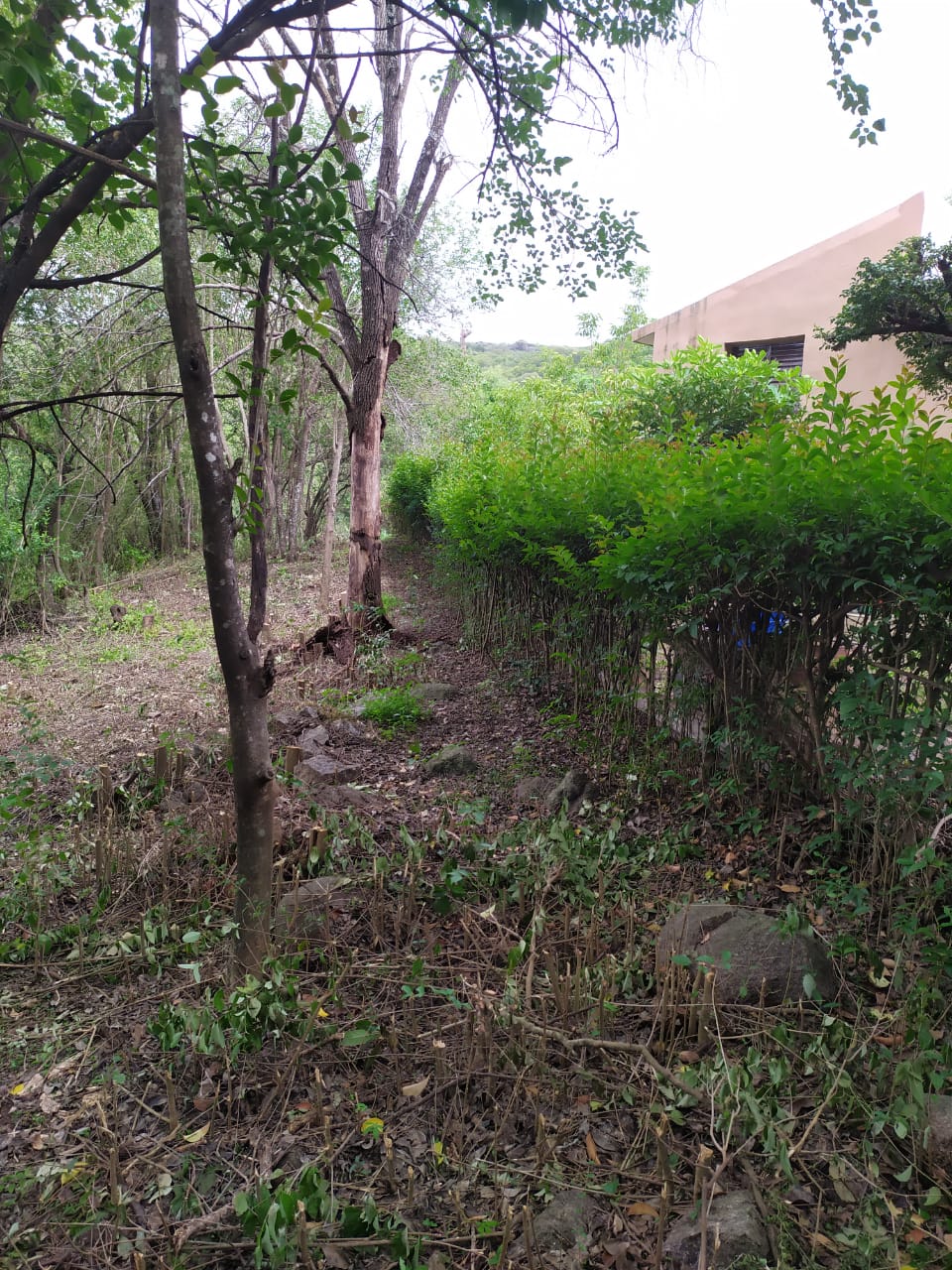 Venta de lote en Villa Cerro Azul