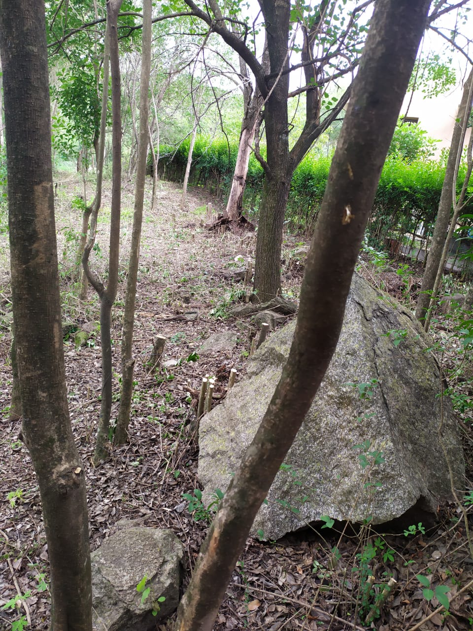 Venta de lote en Villa Cerro Azul