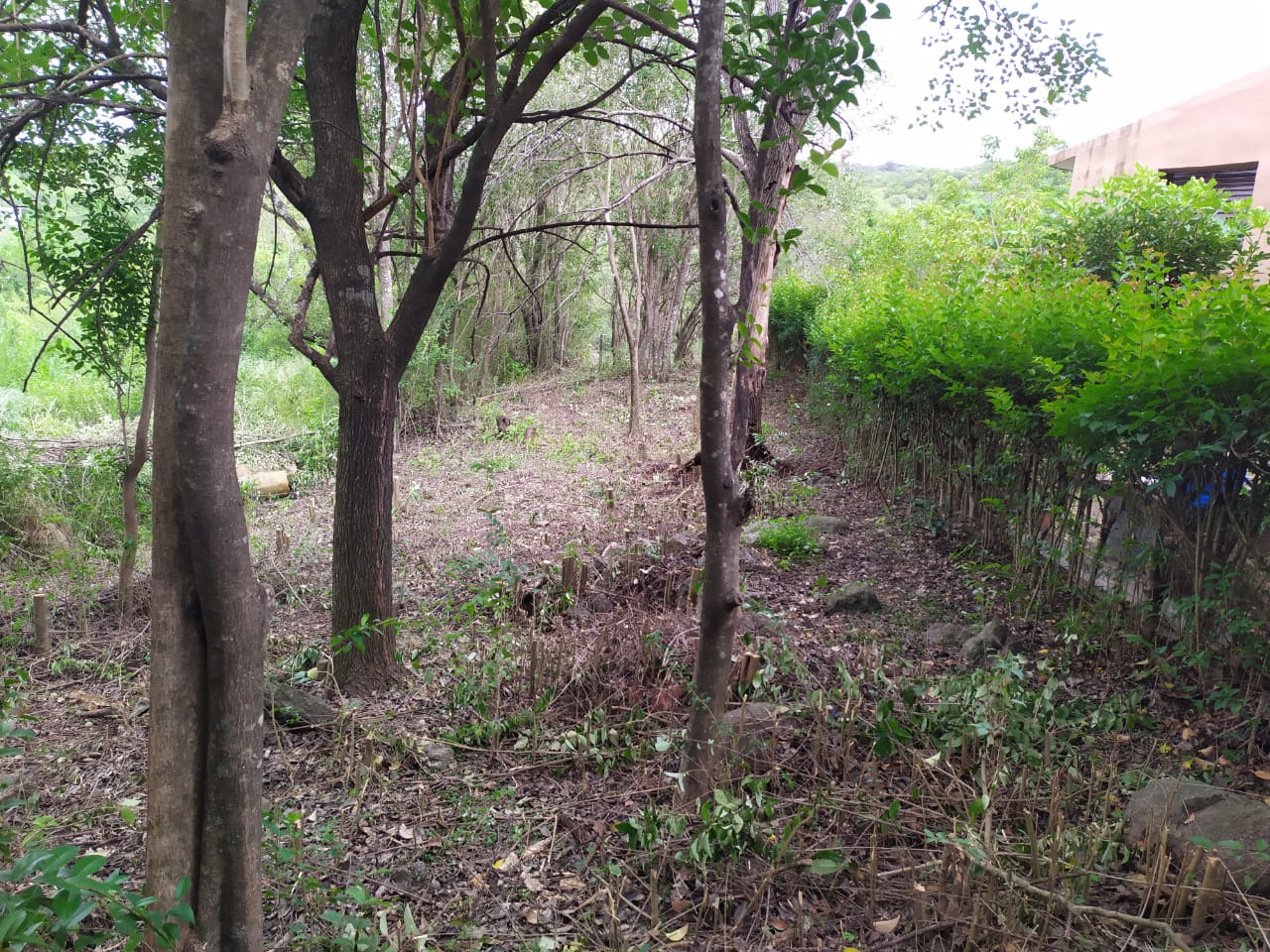 Venta de lote en Villa Cerro Azul