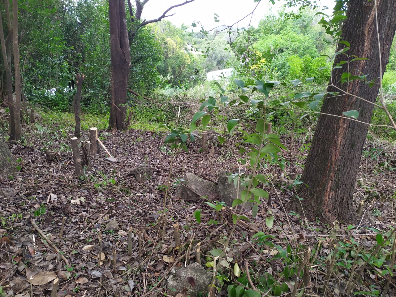 Venta de lote en Villa Cerro Azul