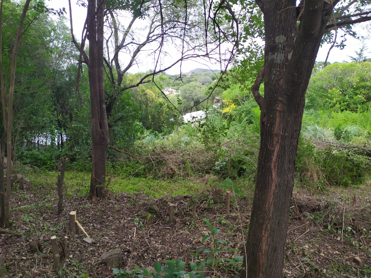 Venta de lote en Villa Cerro Azul