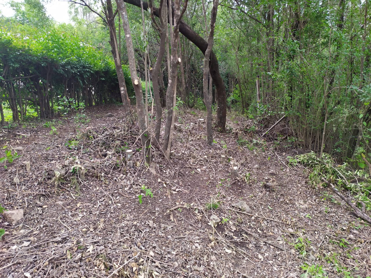 Venta de lote en Villa Cerro Azul