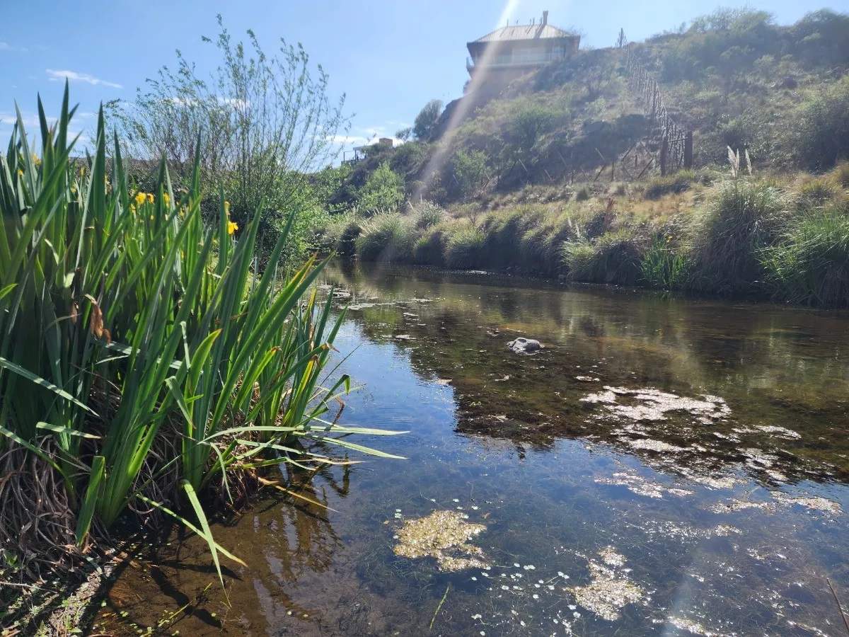 Hermoso Lote Con Salida Al Río San Pedro En Potrero De Garay!!662