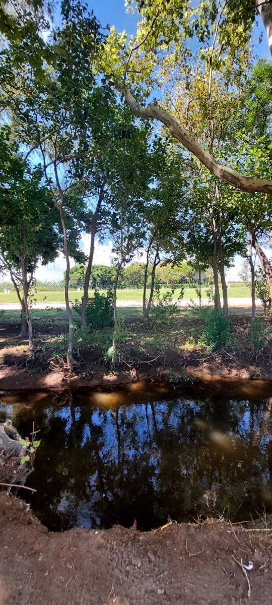 Campo Chico lotes desde 360  apto duplex