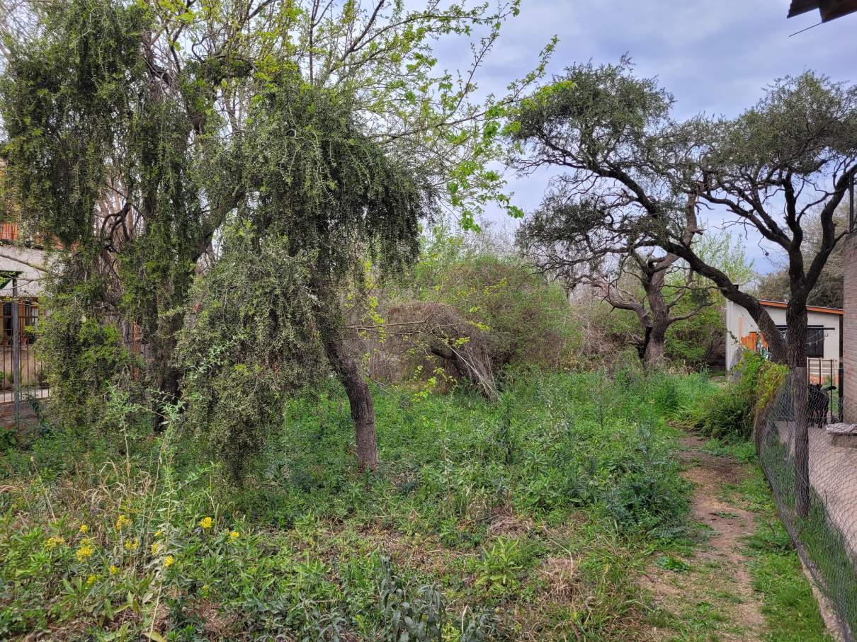 Vendo Terreno De 426 M² En Mendiolaza, El Talar. Excelente Entorno.