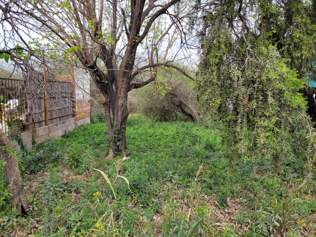 Vendo Terreno De 426 M² En Mendiolaza, El Talar. Excelente Entorno.