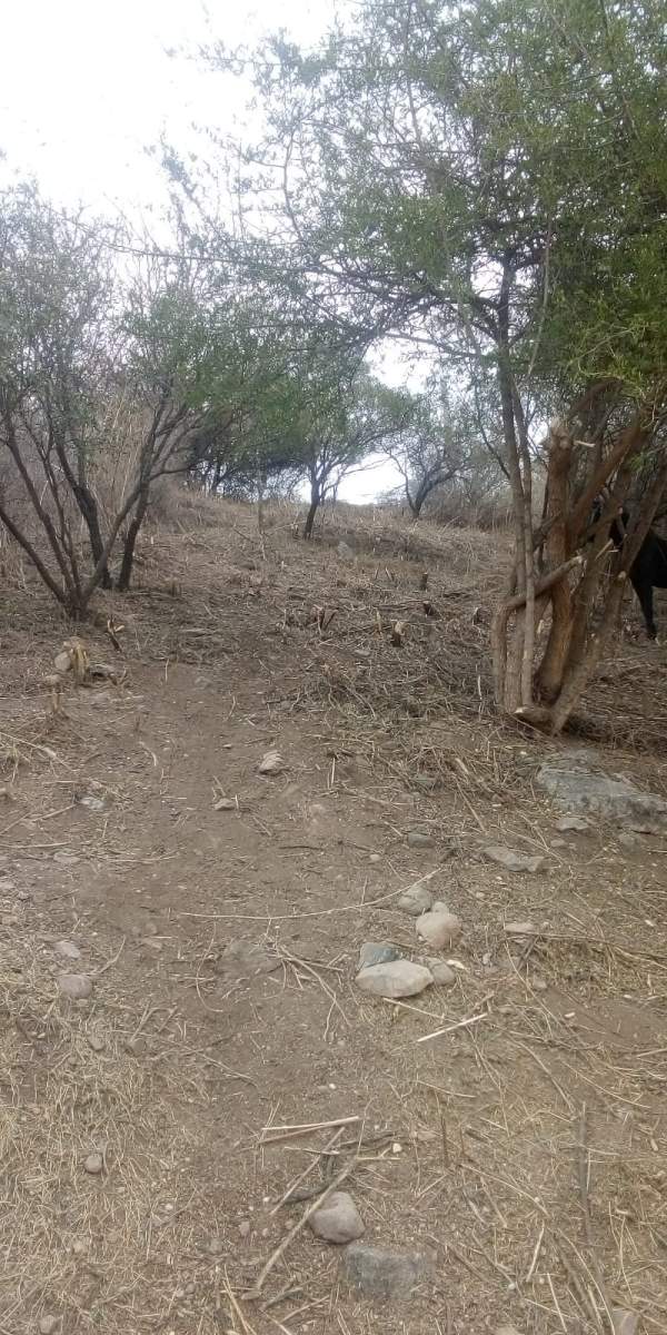 TERRENO EN VENTA EN LA FALDA PCIA DE CÓRDOBA, ARGENTINA