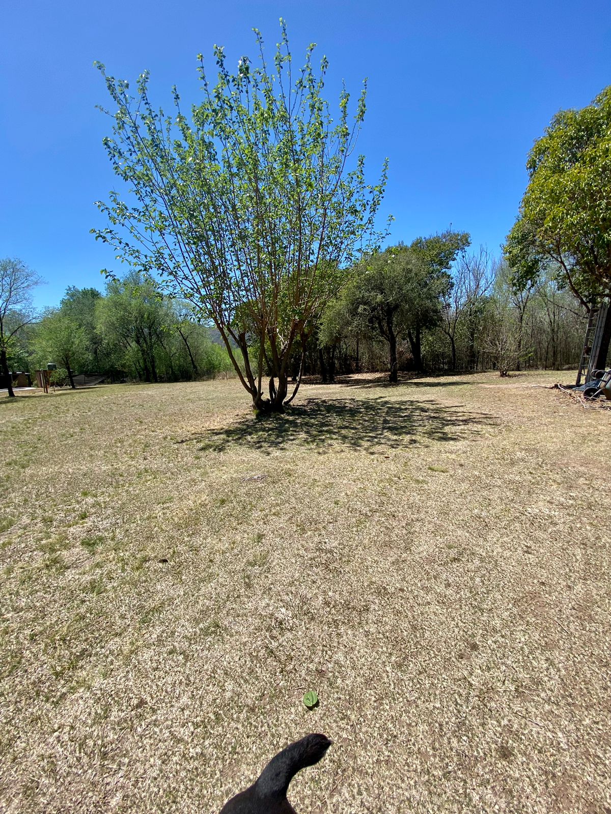 TERRENO SANTA ROSA DE CALAMUCHITA