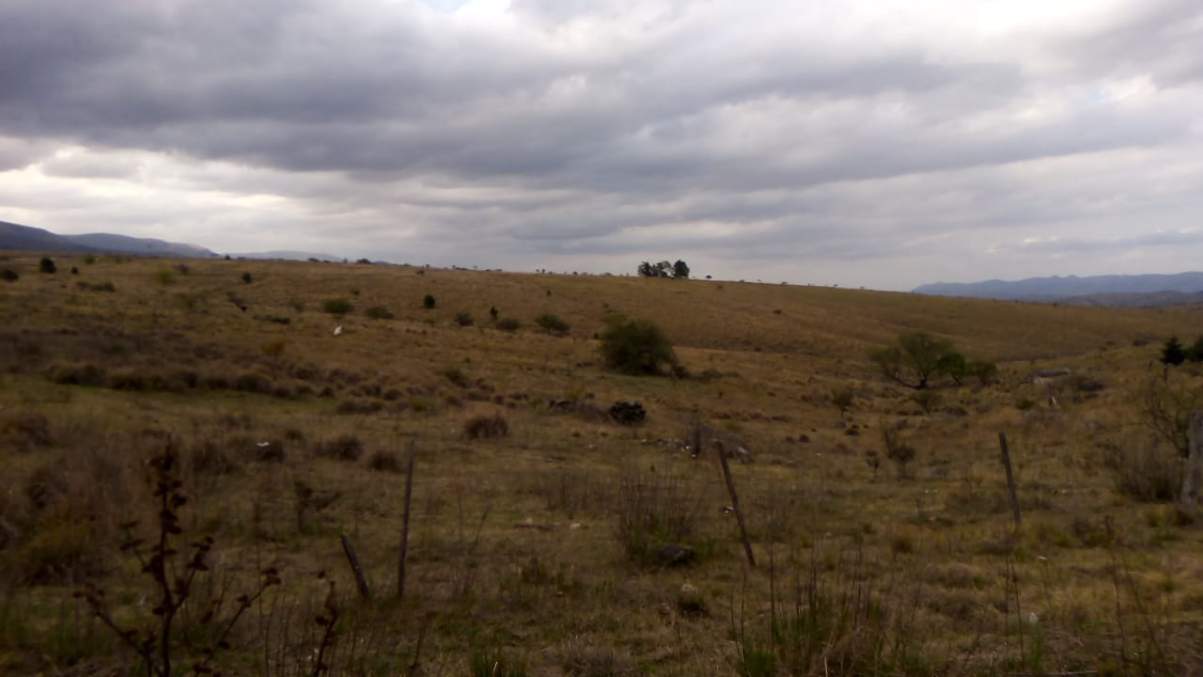 8 LOTES EN VENTA (juntos o por unidad) CON ESCRITURA - PAMPA ALTA - VILLA CIUDAD DE AMÉRICA - POTRER