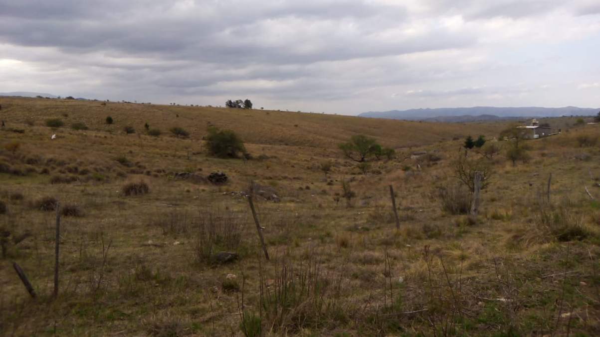 8 LOTES EN VENTA (juntos o por unidad) CON ESCRITURA - PAMPA ALTA - VILLA CIUDAD DE AMÉRICA - POTRER