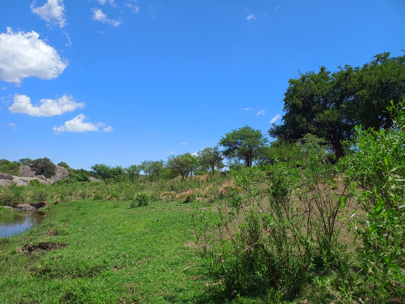 Salsacate Campo de 225 hectareas aprto cultivo Ganaderia Turismo