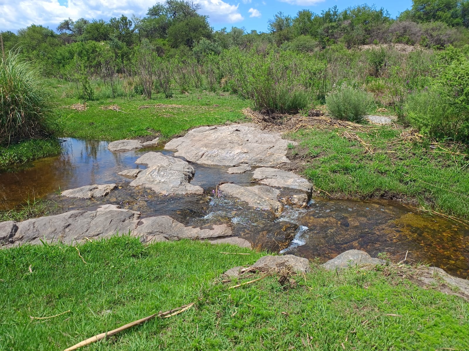 Salsacate Campo de 225 hectareas aprto cultivo Ganaderia Turismo