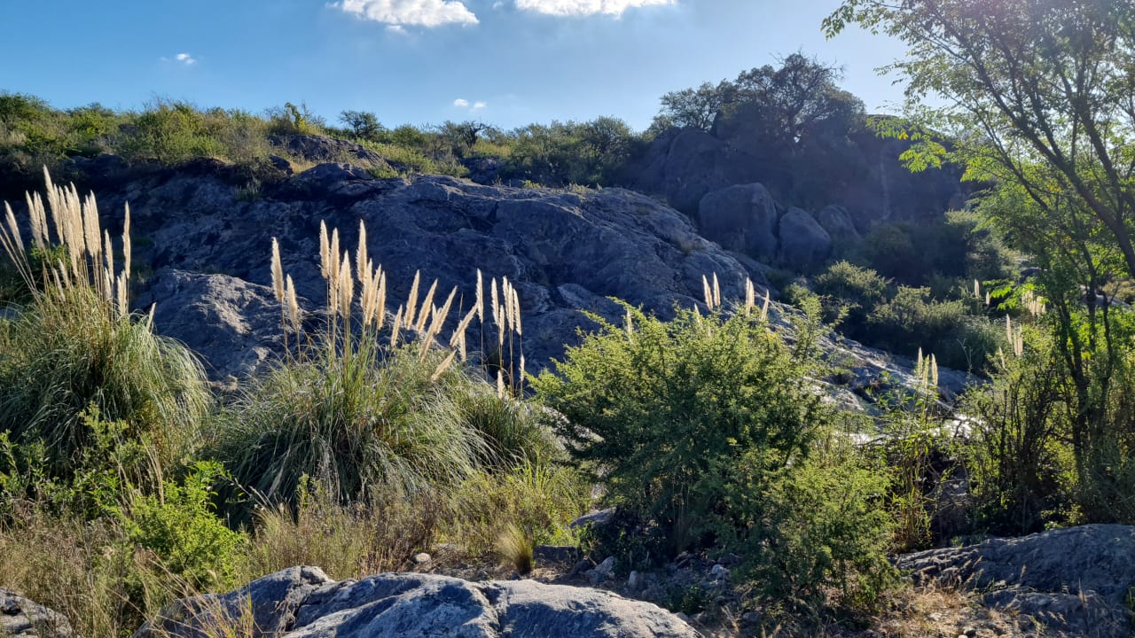 Salsacate Campo de 225 hectareas aprto cultivo Ganaderia Turismo