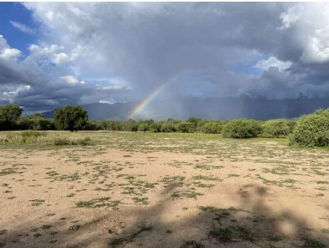 TERRENOS EN VENTA. YACANTO DE SAN JAVIER.