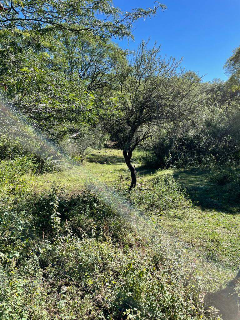 VENTA DE TERRENO EN LA FALDA.