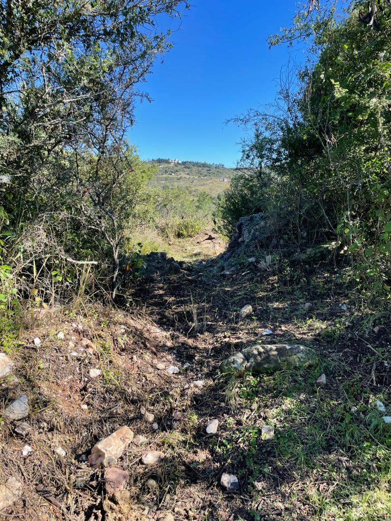 VENTA DE TERRENO EN LA FALDA.