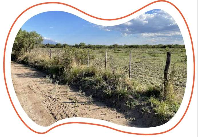 TERRENOS EN VENTA. YACANTO DE SAN JAVIER.