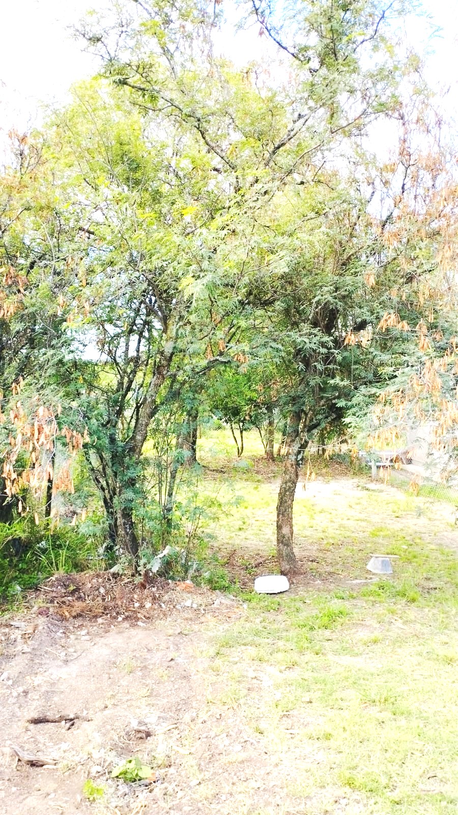Lote Campos Verdes - Villa Catalina