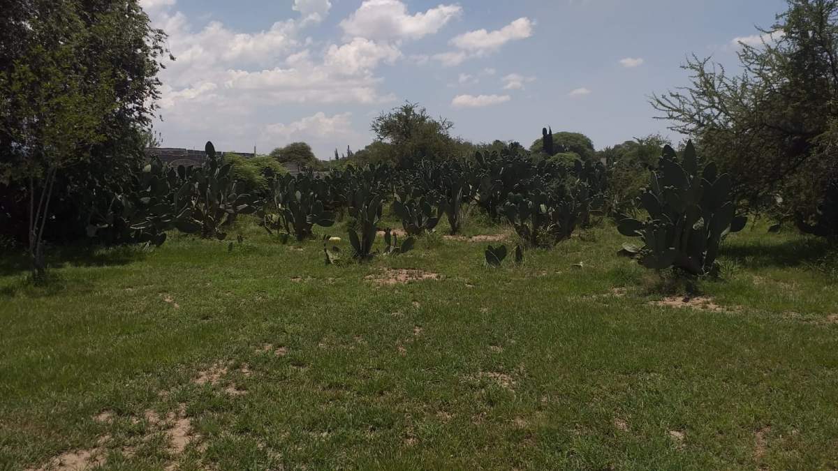 Casa Quinta en Zona Norte