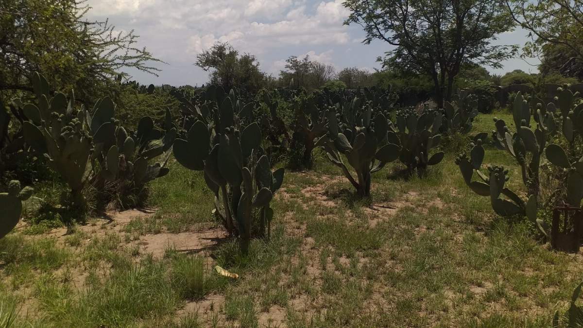 Casa Quinta en Zona Norte